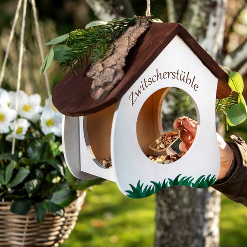 DIY bird house and feed