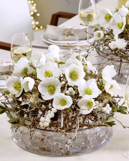 En décoration de table, une rose de Noël en fleur coupée dans un entrelacs de branches dans une coupe en verre remplie de glaçons factices