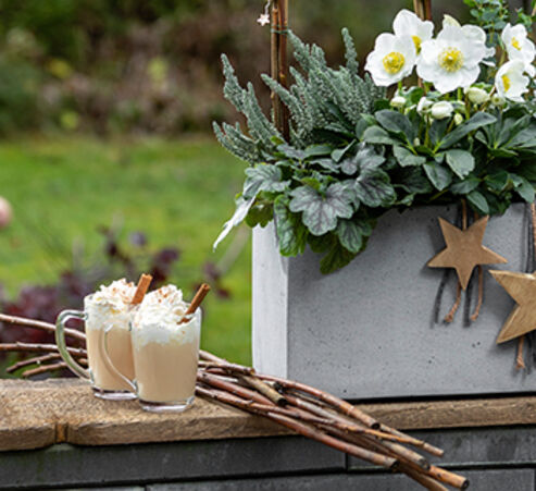 Enjoy hot eggnog on the balcony and terrace on cold days.
