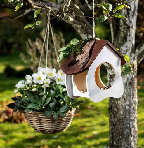 DIY bird house and feed