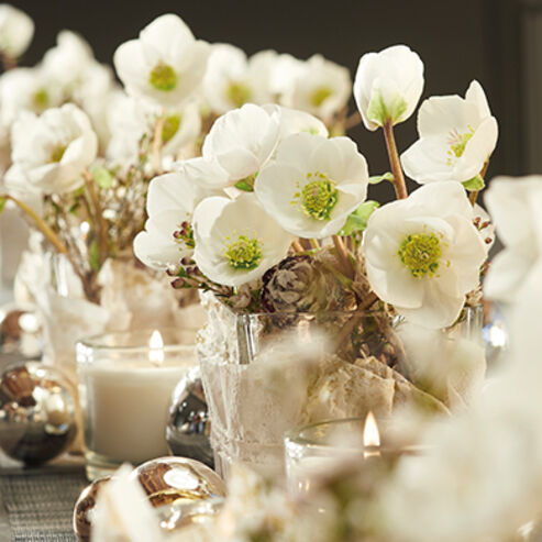 Festive table decoration for the holiday season