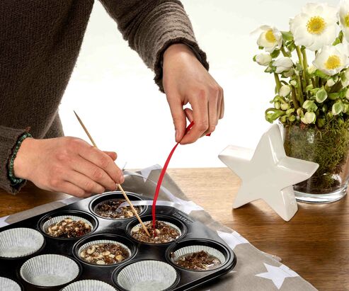 DIY bird house and feed