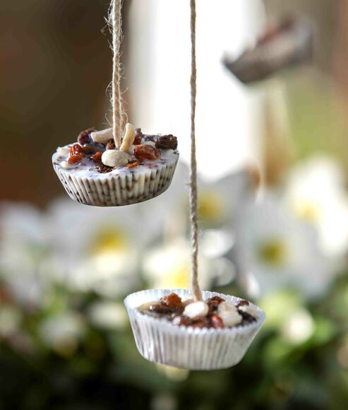 Vogelfutter-Muffins mit Rosinen, Erdnüssen, Haselnüssen, Lein- und Hanfsamen.