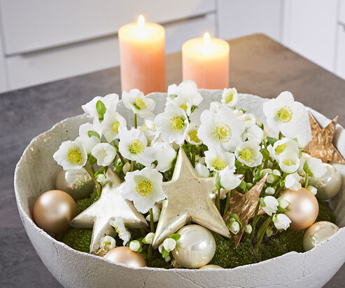 Kerstroos in de woonkamer versierd met kerstboomballen en sterren in een keramische schaal