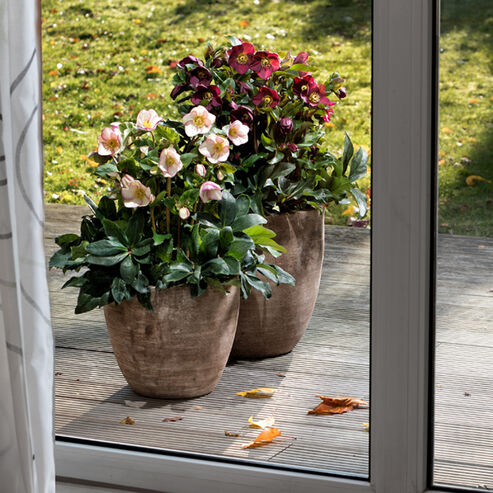 Balkon & Terrasse