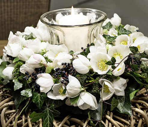 Christrose als Schnittblume mit Efeu (Herdera) auf einem Flechtkranz im Wohnzimmer zur Weihnachtszeit