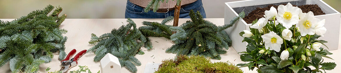 Cut needle branches into small pieces and wrap around the branch with wire