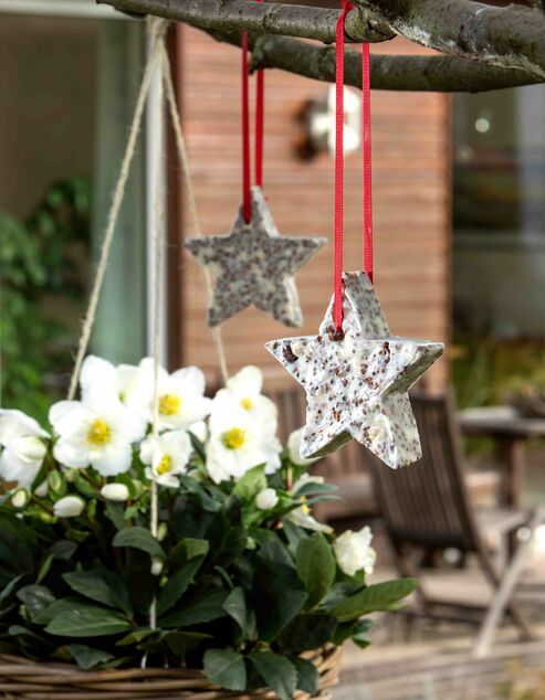DIY bird house and feed