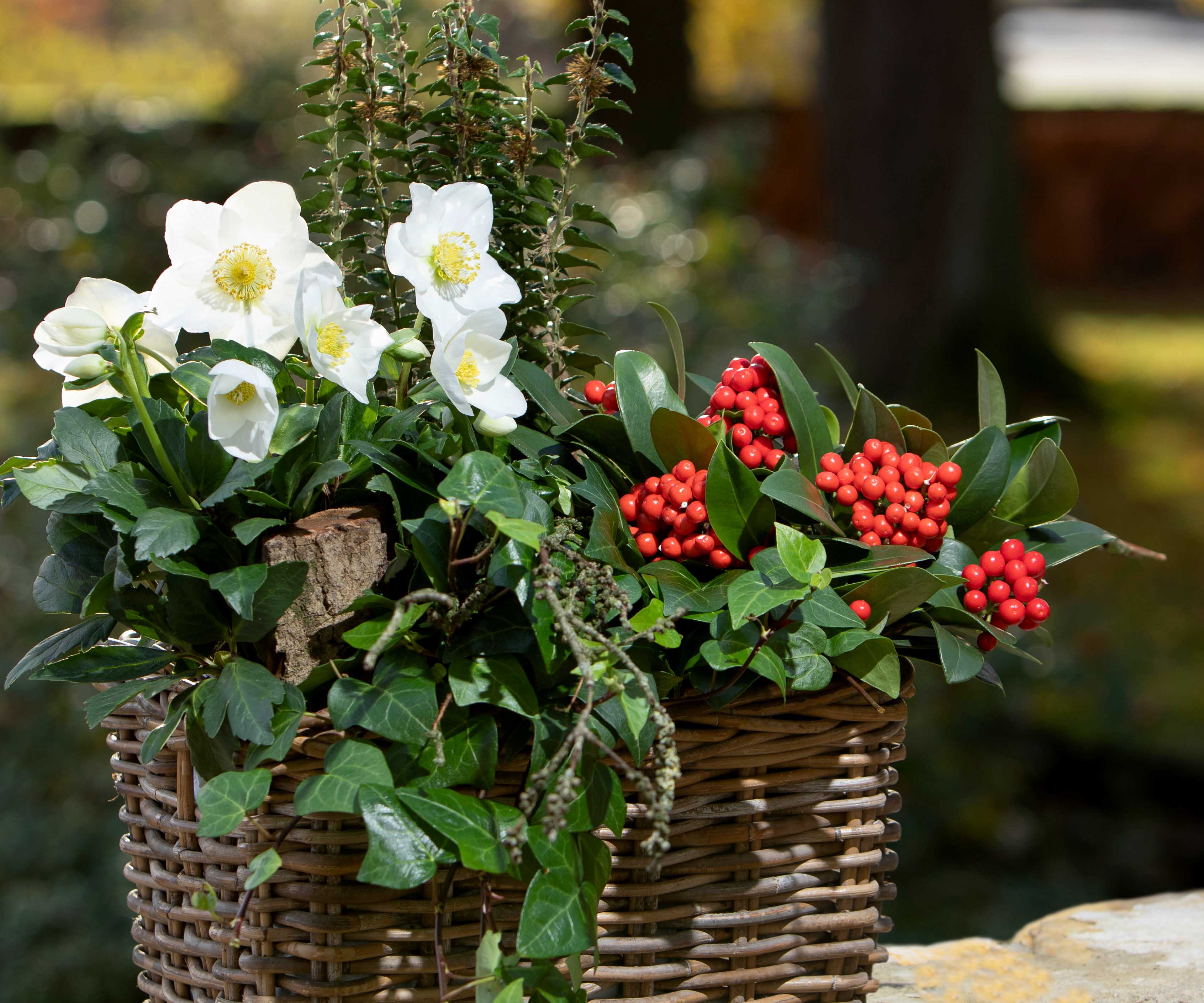 A basket filled with winter joy