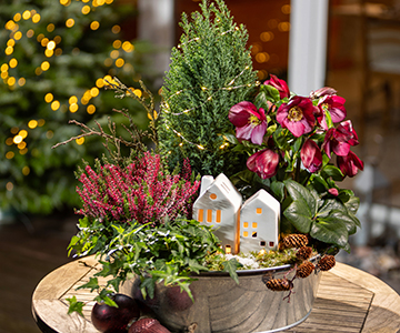 Miniature winter world in a zinc tub