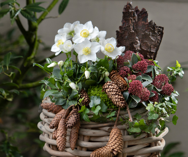 Corbeille au cimetière