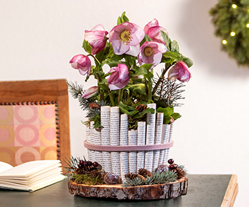 Upcycling: planter with rolled up book pages