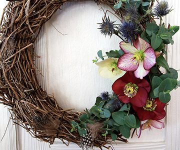 Spring greetings with Snow Roses