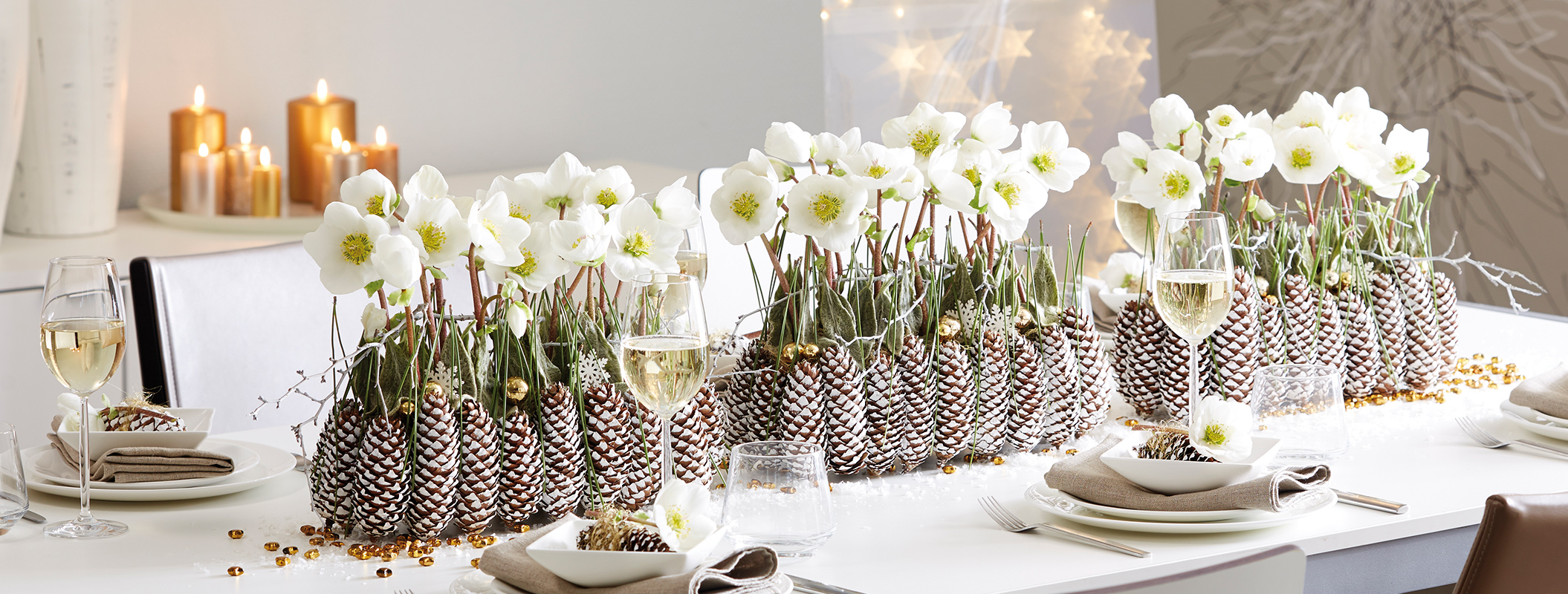 Zapfengesteck mit Christrosenblüten für die Festtafel.