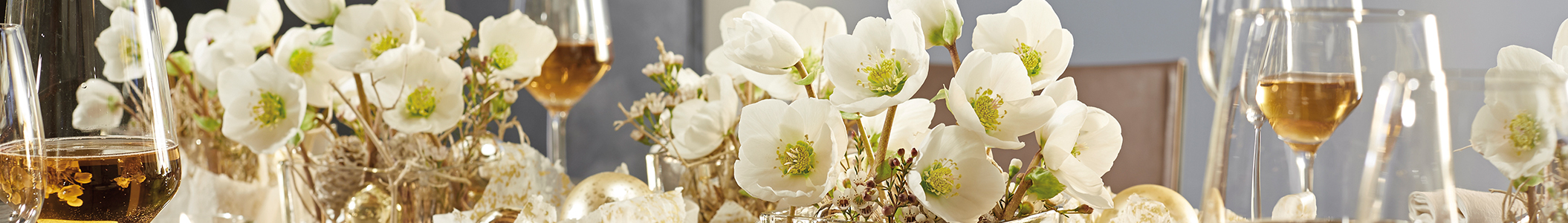 Decoration with Helleborus