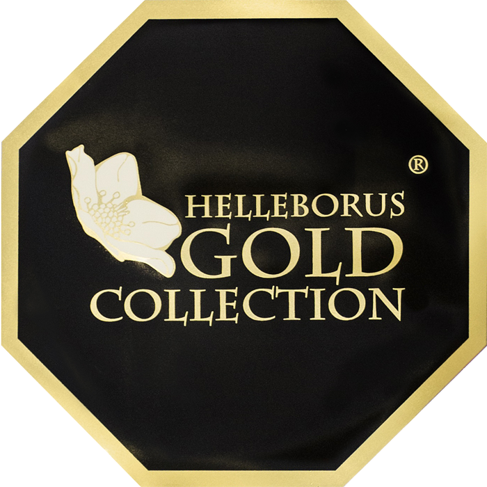 Helleborus Gold Collection®